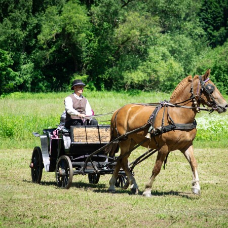 Folkloro kolektyvai ir amatai prie melsvo Nemunėlio
