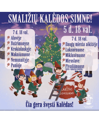 vaizdas_2024-12-09_154236930_1733751756-e9d3b6226e79690d5b93fcdf44e5e166.png