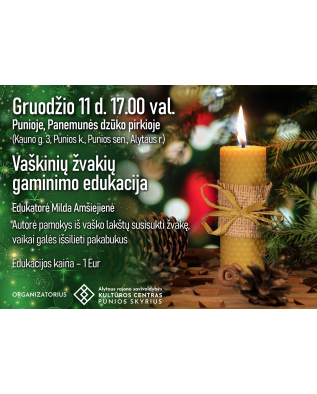 vaizdas_2024-12-09_160926153_1733753366-f22fb631607e77c85d09ef6f19689da1.png