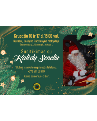 vaizdas_2024-12-09_161023806_1733753424-a98d8af18c91a269225a3ecb47150762.png