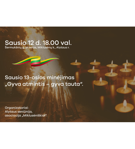 vaizdas_2025-02-07_114924163_1738921765-2abd7a42391bef07324fdf71c983d2c0.png