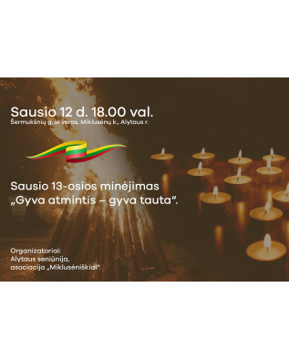 vaizdas_2025-02-07_114924163_1738921765-9caea5bdd13e1bd59669b2153f7042a1.png