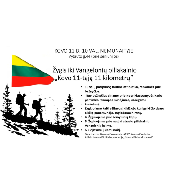vaizdas_2025-03-10_115201613_1741600322-8e3bc5737444e392aaa16ec9929147de.png