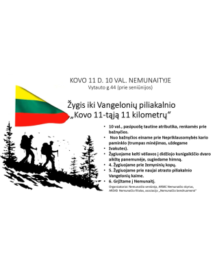 vaizdas_2025-03-10_115201613_1741600322-a9815a50700eef1963cd2e57bbc15763.png